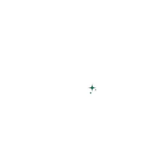 TruTidy logo
