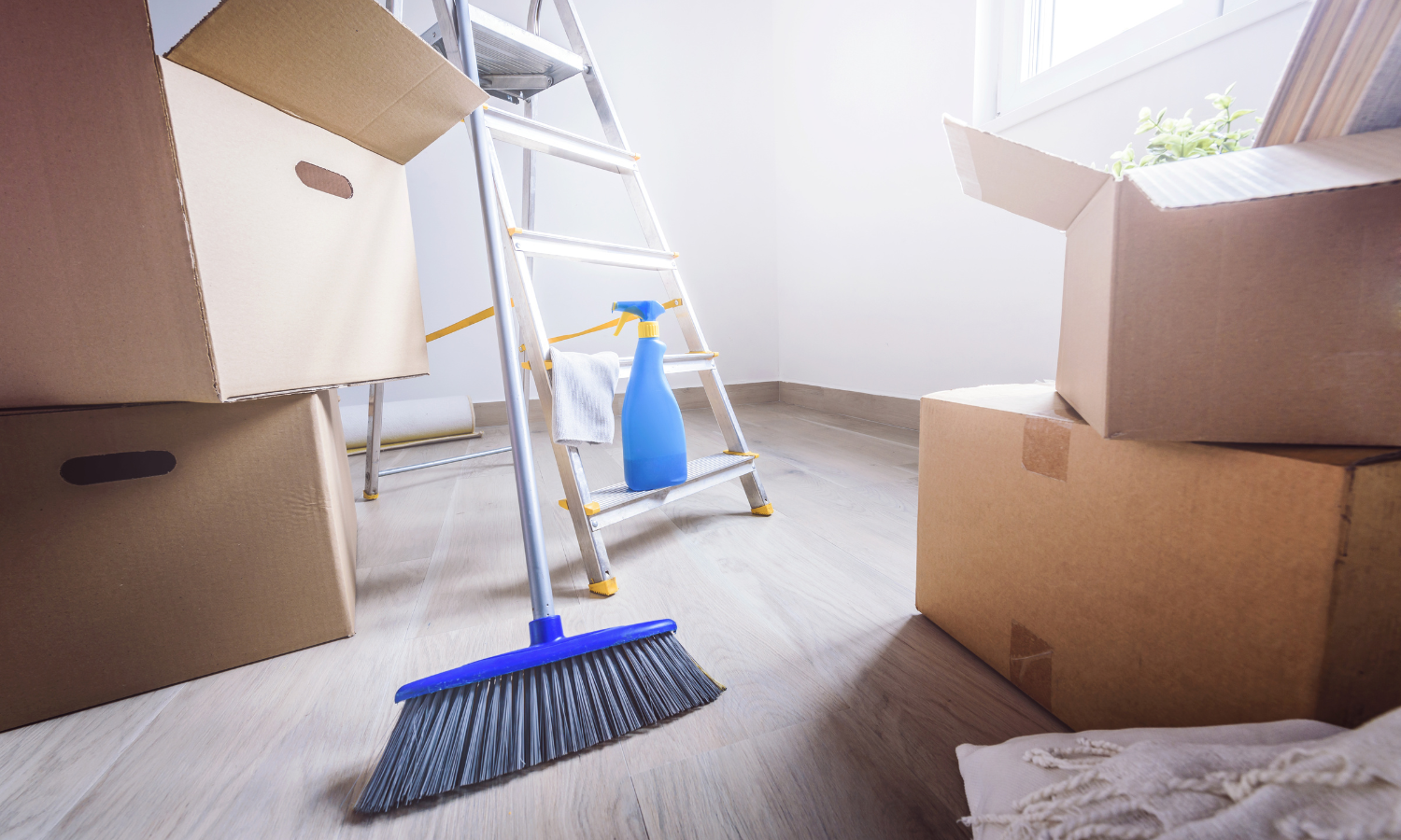 Move-out cleaning with empty apartment in Burnaby